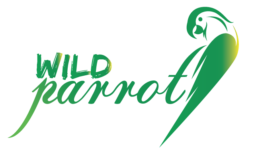 Wild Parrot